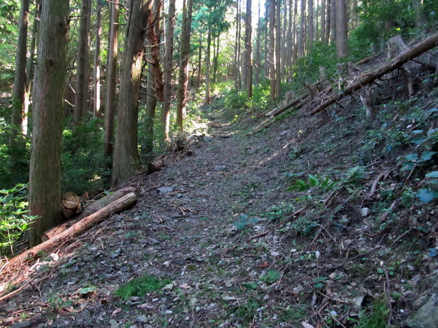 t17_095.jpg