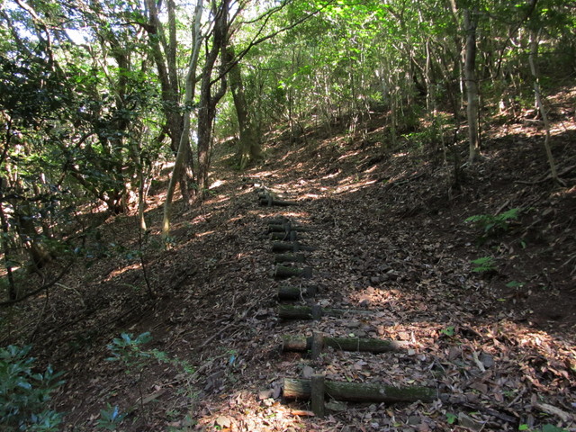 t17_096.jpg