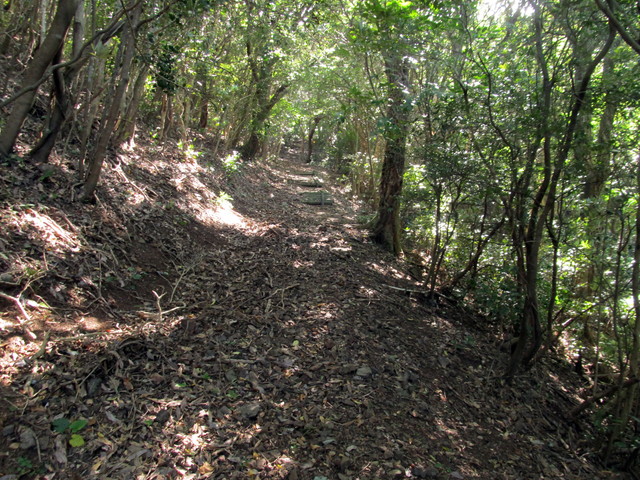 t17_097.jpg
