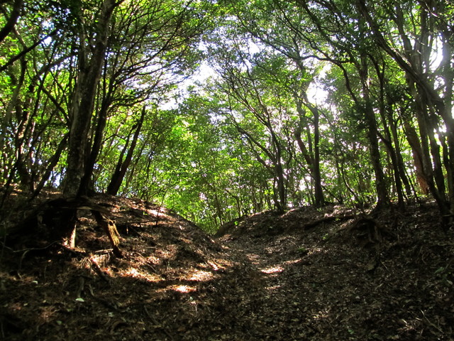 t17_098.jpg