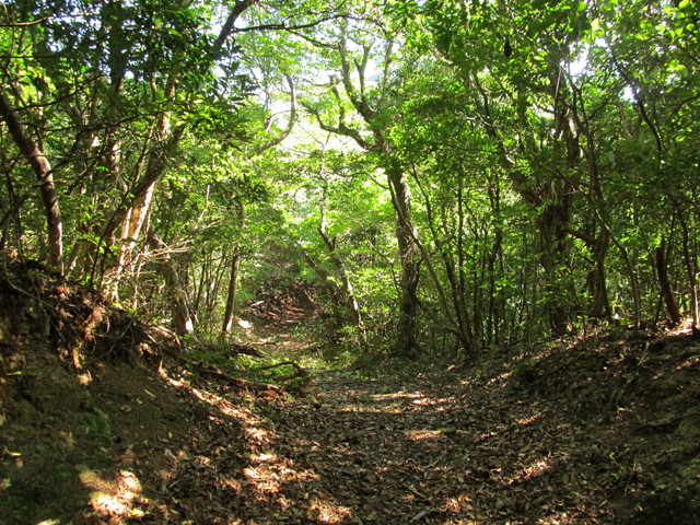 t17_099.jpg