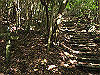 t17_102_thumb.jpg