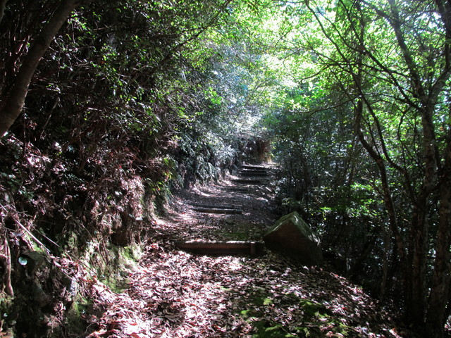 t17_108.jpg