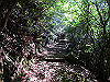 t17_108_thumb.jpg