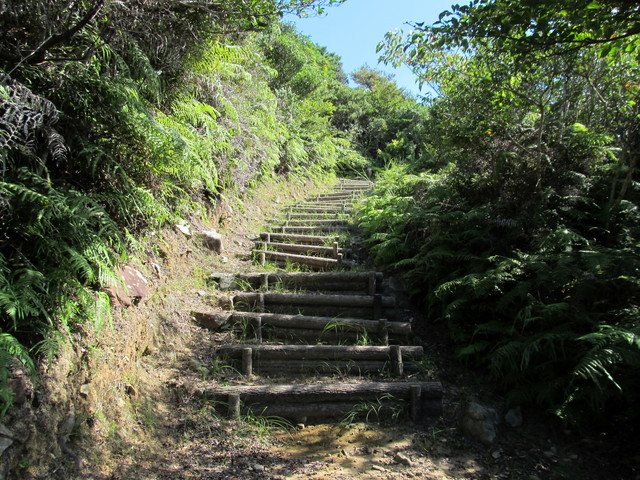 t17_110.jpg