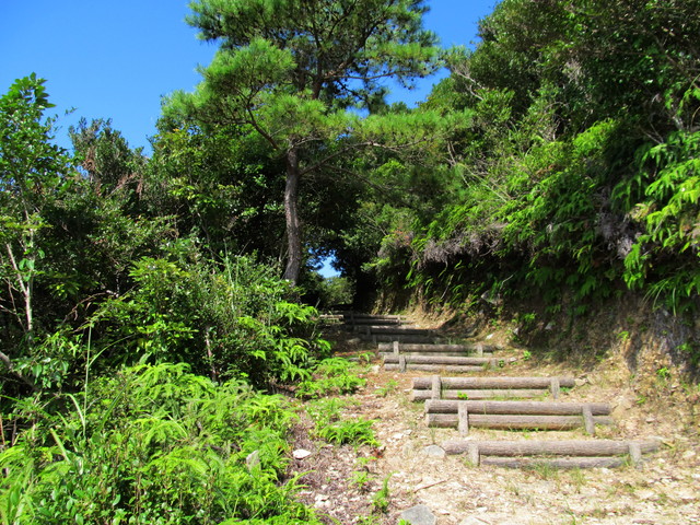 t17_111.jpg