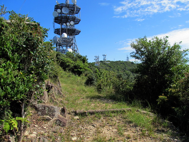 t17_115.jpg