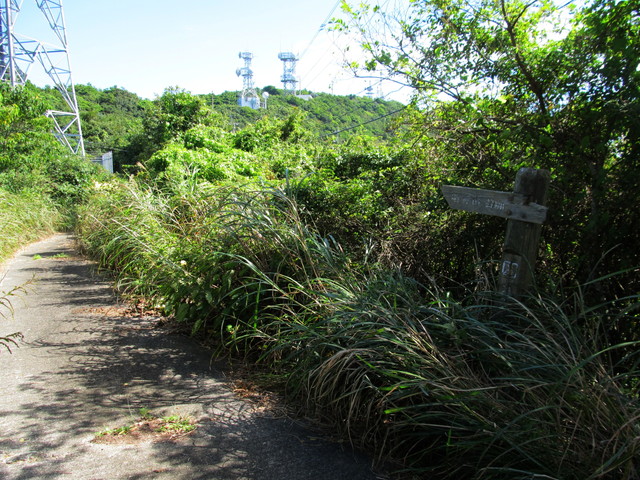 t17_120.jpg