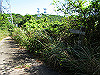 t17_120_thumb.jpg
