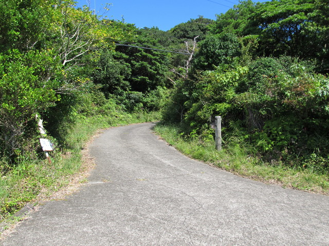 t17_122.jpg