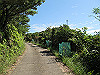 t17_125_thumb.jpg