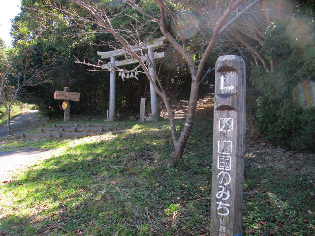 t17_129.jpg