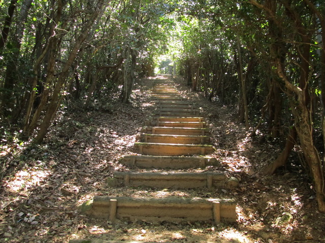 t17_131.jpg