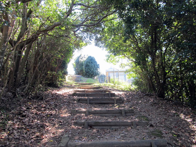 t17_132.jpg