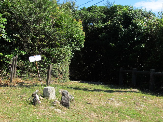 t17_133.jpg