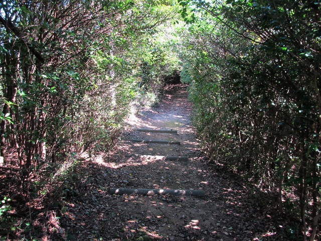 t17_134.jpg