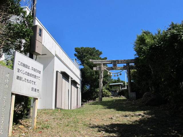 t17_135.jpg