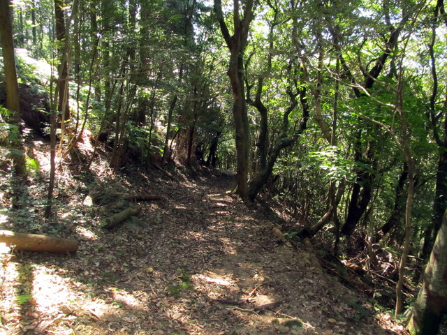 t17_145.jpg