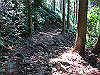t17_152_thumb.jpg