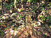 t17_156_thumb.jpg