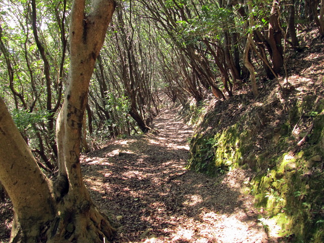 t17_165.jpg