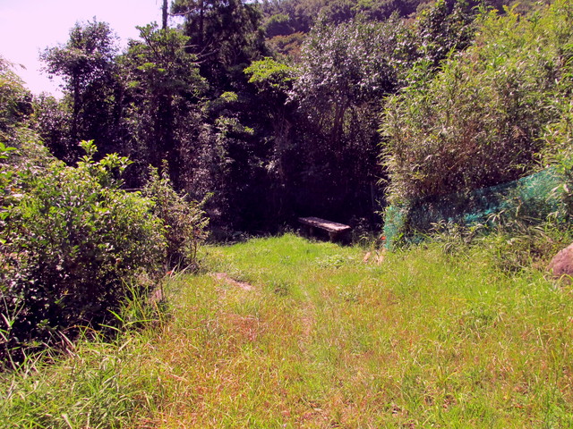 t17_168.jpg