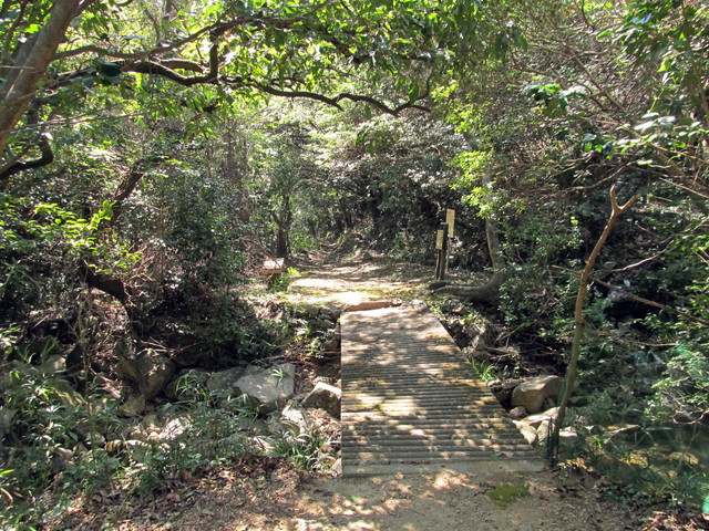 t17_173.jpg