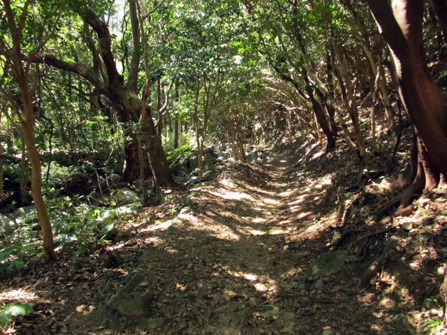 t17_176.jpg