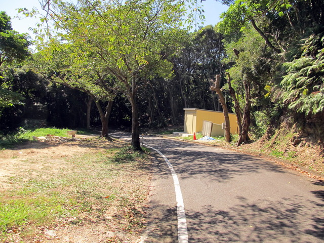 t17_181.jpg