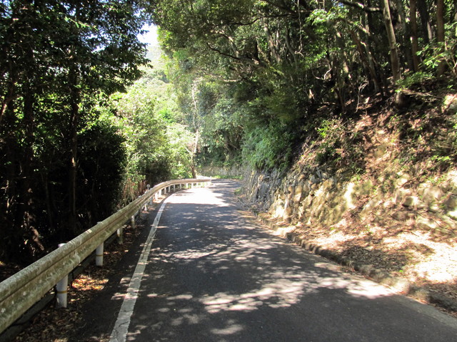 t17_182.jpg