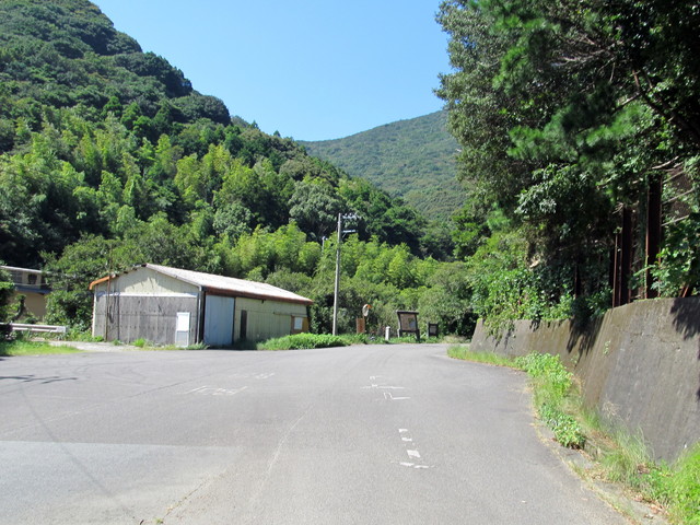 t17_184.jpg