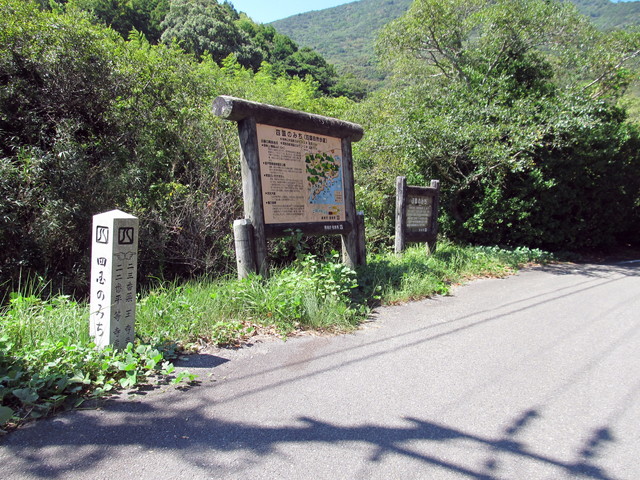 t17_185.jpg