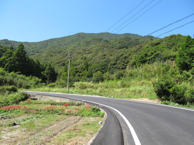 t18_004.jpg