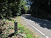 t18_007_thumb.jpg
