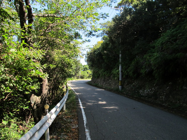 t18_008.jpg