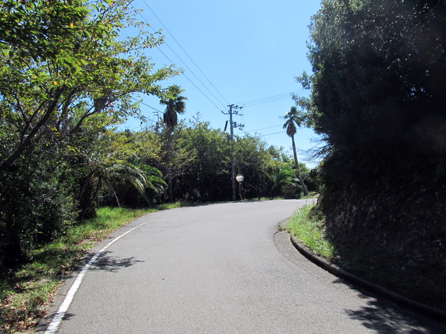 t18_009.jpg