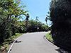 t18_009_thumb.jpg