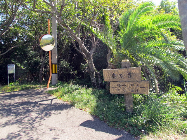 t18_010.jpg