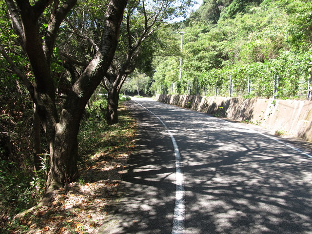 t18_015.jpg