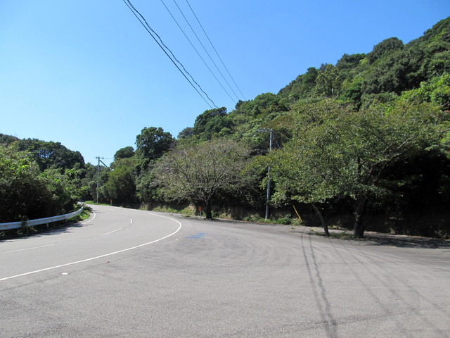t18_021.jpg