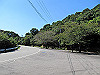 t18_021_thumb.jpg