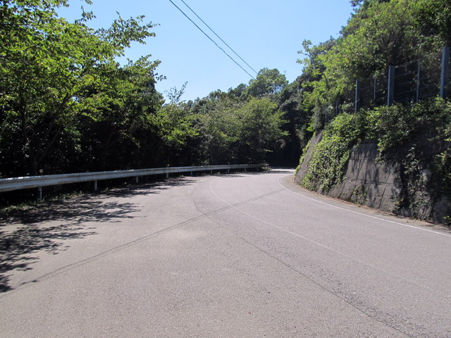t18_033.jpg