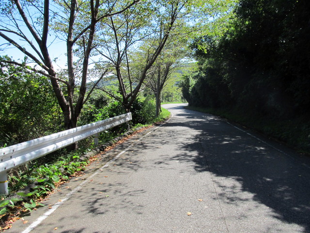 t18_038.jpg