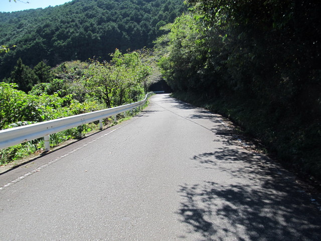 t18_039.jpg