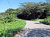 t18_040_thumb.jpg