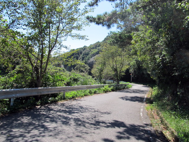 t18_043.jpg