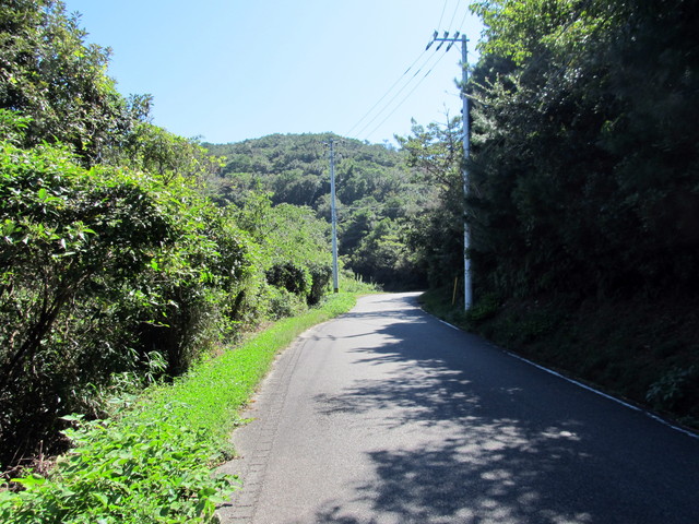 t18_044.jpg