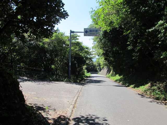 t18_045.jpg