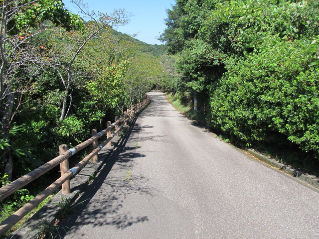 t18_054.jpg