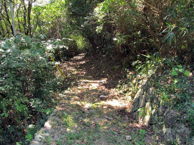 t18_058.jpg